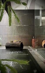 Arcadia Road (D11), Semi-Detached #484023931